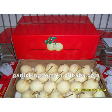 Fresh Ya Pear/New crop pear price/Chinese pear wholesale